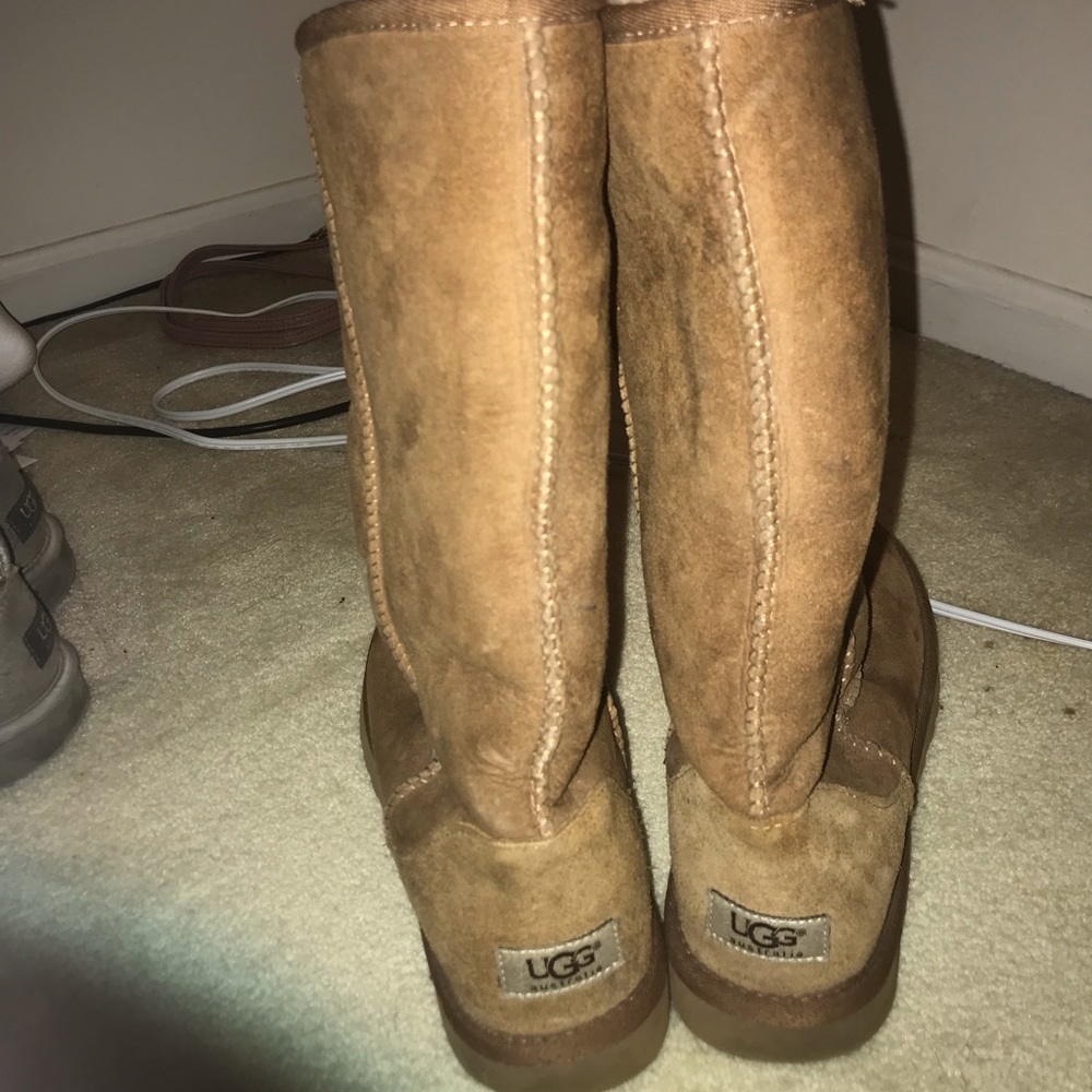 Chestnut Brown Uggs- Tall